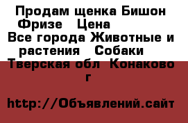 Продам щенка Бишон Фризе › Цена ­ 30 000 - Все города Животные и растения » Собаки   . Тверская обл.,Конаково г.